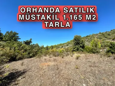 Alanya Orhanda Satılık 1.165 M2 Tarla