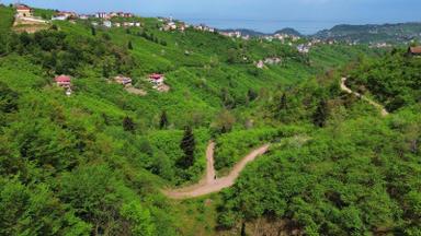 Trabzon Arsin'de Satılık Arazi