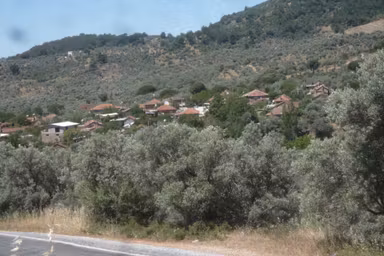 İzmir Torbalı Gold Emlaktan Satılık Zeytinlik