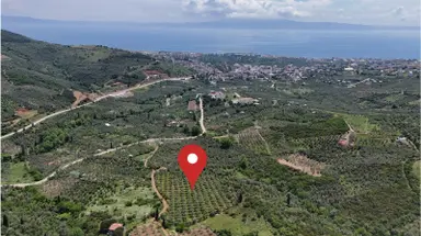 Termal Turizm Alanında İmara Yakın 26.192m2 Fırsat Zeytinlik Termal Turizm Alanında İmara Yakın 26.192m2 Fırsat Zeytinlik