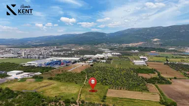 Kemalpaşa Mehmet Akif Ersoy Satılık 7.443m2 Bahçe