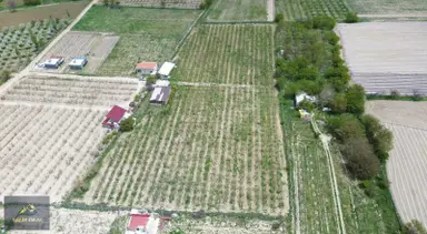 Salih Emlak'tan Sazlıca'da 12.000 M2 Bakımlı Şeftali Bahçesi Salih Emlak'tan Sazlıca'da 12.000 M2 Bakımlı Şeftali Bahçesi