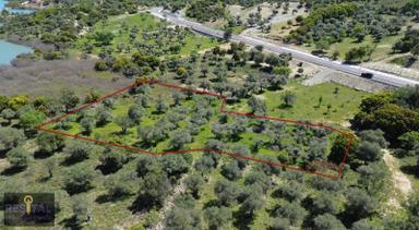 Çankkale Gökçeada Zeytinli Köyde 3.000 M2 Zeytinlik Çankkale Gökçeada Zeytinli Köyde 3.000 M2 Zeytinlik