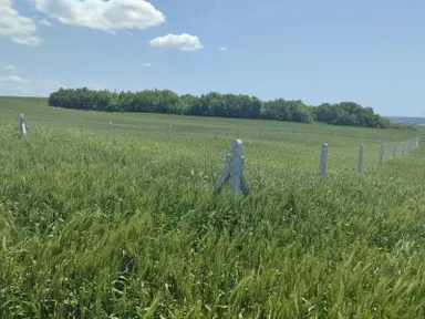 Kırklareli Vize Evrenli Mahalle Dibi 275 M² Tarla Kırklareli Vize Evrenli Mahalle Dibi 275 M² Tarla