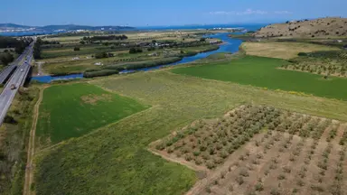 Yalı Mahallesi Adacık Mevkinde 7358m2 Tek Tapu Yola Cephe Yalı Mahallesi Adacık Mevkinde 7358m2 Tek Tapu Yola Cephe