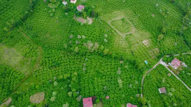 Trabzon Gölçayır Mahallesinde Satılık 2715 M2 Arazi