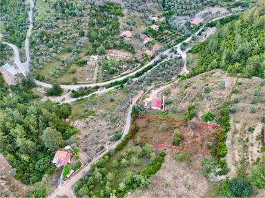 1270m² Zeytinköy’de Gökova’ya Yakın Yatırımlık Premium Tarla 1270m² Zeytinköy’de Gökova’ya Yakın Yatırımlık Premium Tarla