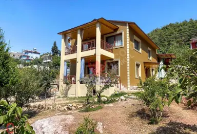 3d Fazla Kullanım Bahçe; Doğa,orman Manzara.... 3d Fazla Kullanım Bahçe; Doğa,orman Manzara....