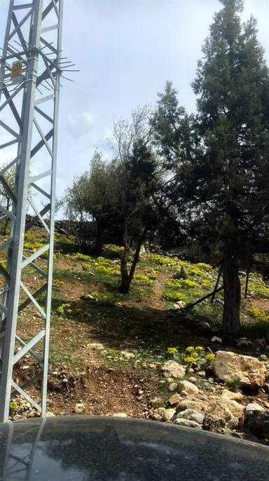 Kar Emlaktan Mersın Tarsus Panzı Çukuru 1130 M2 Satılık Arsa Kar Emlaktan Mersın Tarsus Panzı Çukuru 1130 M2 Satılık Arsa