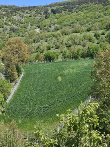 Kavak Göçebe De Divanbaşı Göletine Yakın Satılık Arazi Kavak Göçebe De Divanbaşı Göletine Yakın Satılık Arazi