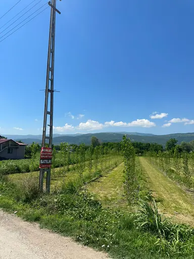Adalet Gold Group Emlak'tan Yolkonak Mahallesinde Uygun Fiyata Yol Üzerinde Tarla Bu Fırsat Kaçmaz Adalet Gold Group Emlak'tan Yolkonak Mahallesinde Uygun Fiyata Yol Üzerinde Tarla Bu Fırsat Kaçmaz
