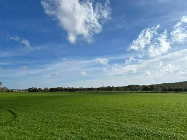 Çatalca Karacaköy'de Denize Yakın Yatırımlık Dev Tarla 17.737 M2 Çatalca Karacaköy'de Denize Yakın Yatırımlık Dev Tarla 17.737 M2