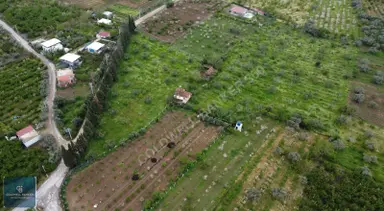 Kemalpaşa'da Yola Cephe 17.870m² Satılık Müstakil Tapulu Bağ