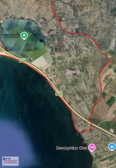 Ayvalık Küçükköy'de Satılık Deniz Manzaralı Zeytinlik Ayvalık Küçükköy'de Satılık Deniz Manzaralı Zeytinlik