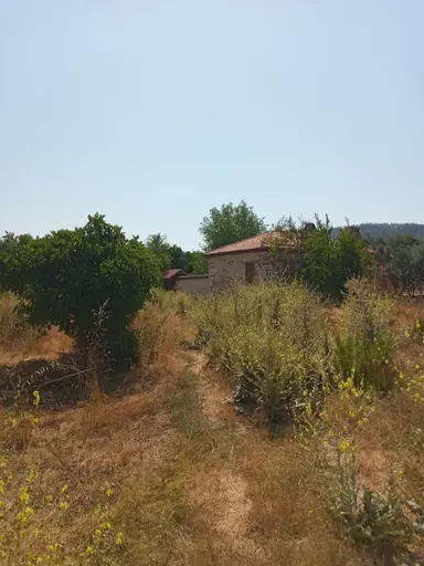 Stratonikeia Antik Kentinde Müstakil Ev (pazarlık Payı Vardır.) Stratonikeia Antik Kentinde Müstakil Ev (pazarlık Payı Vardır.)