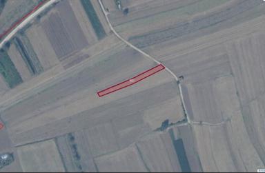 Adapazarı Kavaklıormanda 1.230 M2 Satılık Tarla !! Adapazarı Kavaklıormanda 1.230 M2 Satılık Tarla !!