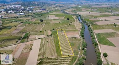 Yağcılar Da 1.225 M2 Bağ, Kampüs Asfaltına 650 Mt Uzaklıkta