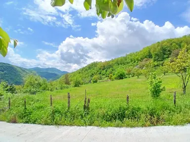 Furkan Emlak'tan Canik Üçpınar Mah.1100m2 Tek Tapu Tarla