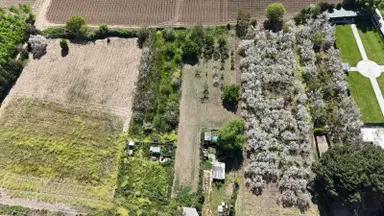 Osmangazi Çeltikköy'de Cadde Üzeri Satılık Tarla (2.621 M²)