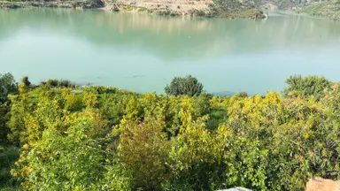 Baraj Manzaralı Avakoda Bahçesi ..!!!