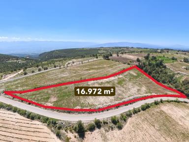 C21 Loft'tan Pamukkale Akçapınar'da 16.972m² Satılık Tarla