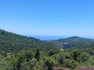 Esenpınar Ağlıcada Satılık Deniz Manzarali Tarla Esenpınar Ağlıcada Satılık Deniz Manzarali Tarla