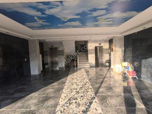 showcase_listing_image