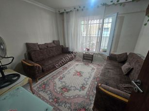 showcase_listing_image