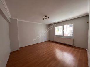 showcase_listing_image
