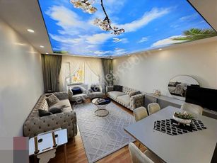showcase_listing_image
