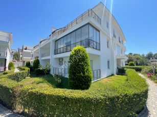 showcase_listing_image