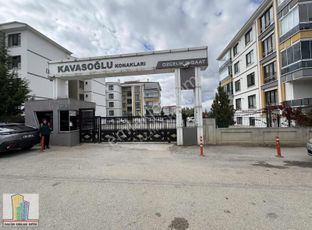 showcase_listing_image