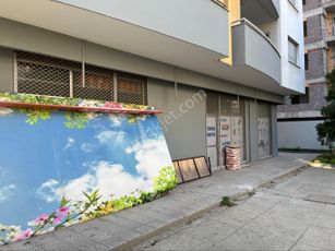 showcase_listing_image