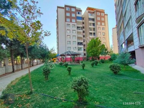 emlakcidan adiyaman adiyaman merkez yeni sanayi mahallesi 4 1 satilik daire 795 000 tl 10067019 emlakcidan adiyaman adiyaman merkez yeni sanayi mahallesi 4 1 satilik daire 795 000 tl 10067019