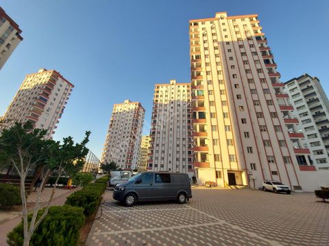 6qeo825egx81rm