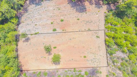 Antalya Alanya Gümüşkavak Mahallesi Satılık Arsa Fiyatları ve İlanları