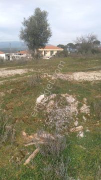 MUĞLA MİLAS ÇAMLIIURT MAHALLESİNDE SATILIK ARSA