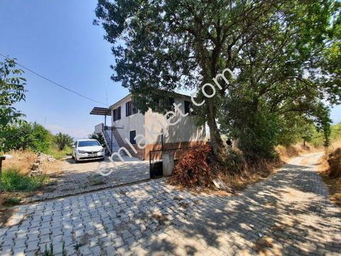 emlakcidan aydin bozdogan pinarli mahallesi satilik bag bahce 600 000 tl 8577138