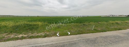Tepebaşı Yusuflar Mahallesinde Satılık 4.583 M² Tarla