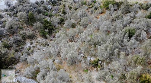 Atam Emlaktan Göcek Gökçeovacık Satılık 1054 M2 Müstakil Parsel
