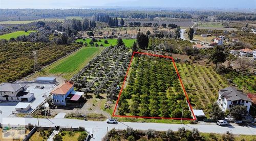 Atam Emlaktan Toparlarda Satılık 4388 M2 Müstakil Parsel