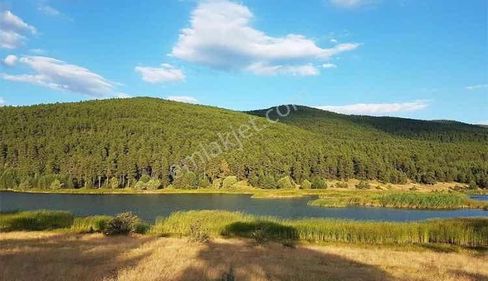 Çamlıdere Kuşçular Yaylası Satılık İmarlı Arsa Tek Tapu