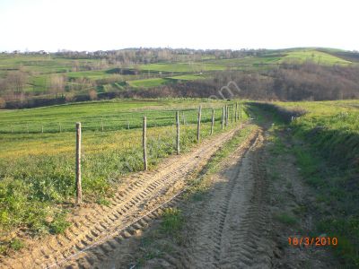 Arsa-Tarla