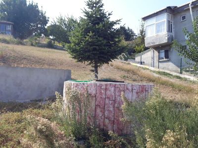 Arsa-Muhtelif Arsa