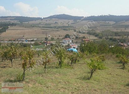 Arsa-Tarla
