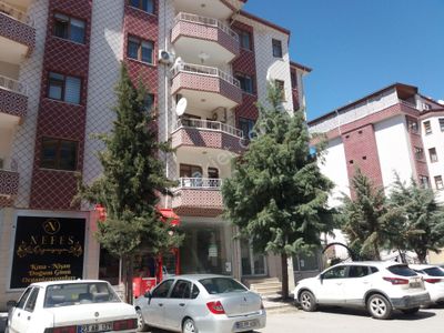 İşyeri-Dükkan & Mağaza