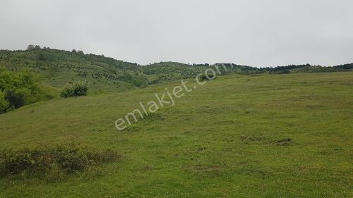 Arsa-Tarla