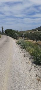 Zeytınlık Satılık Gerenköy