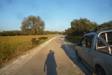 Arsa-Zeytinlik