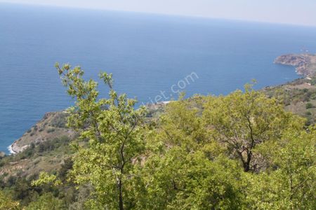 Arsa-Villa İmarlı